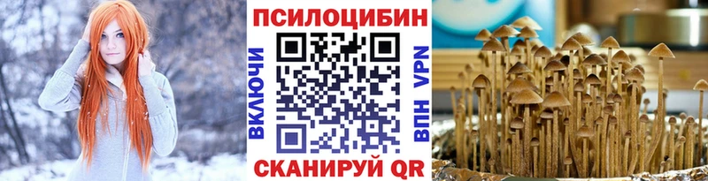 Галлюциногенные грибы ЛСД  Купить закладки  Тайшет 